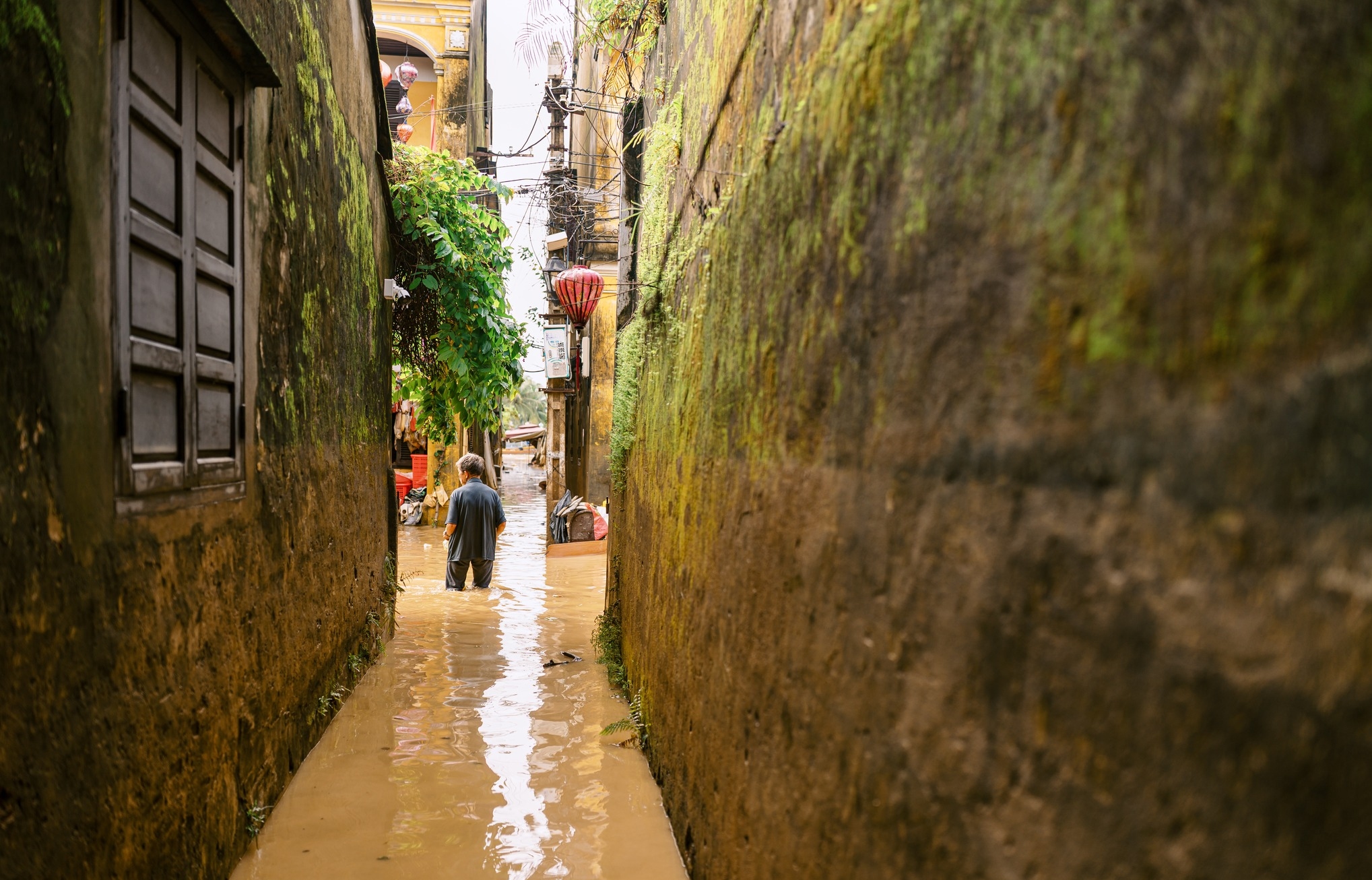 Hội An: Nước mắt trên phố và 'cơn đau' của di sản trăm tuổi - 7