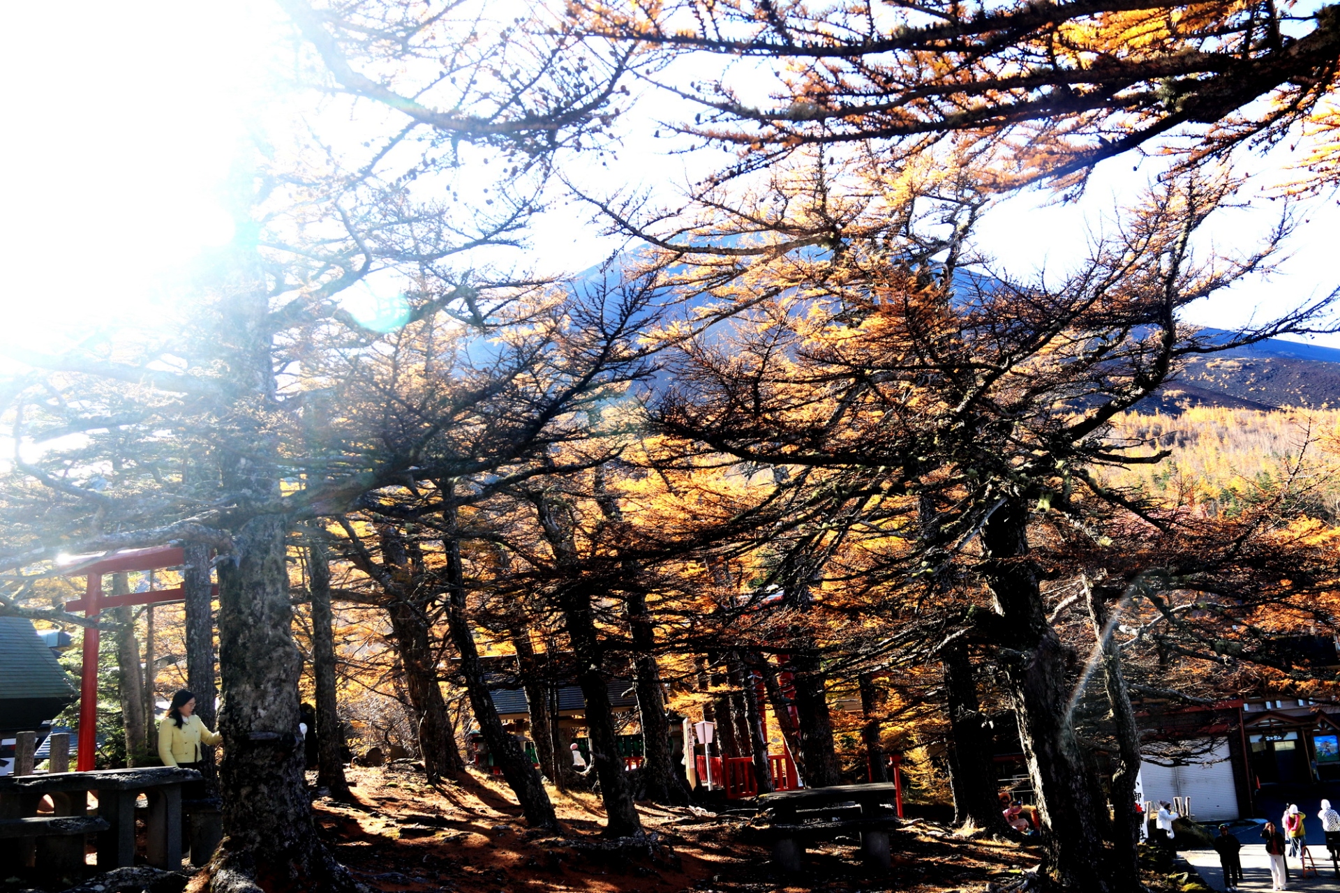 Đến Phú Sĩ, tìm lại sự cân bằng cho tâm hồn ở ngọn núi thiêng - 1