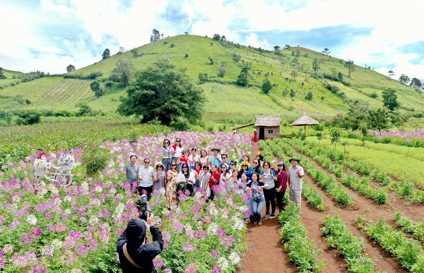 di xem hoa da quy no ruc ro tren nui lua chu dang ya - 9