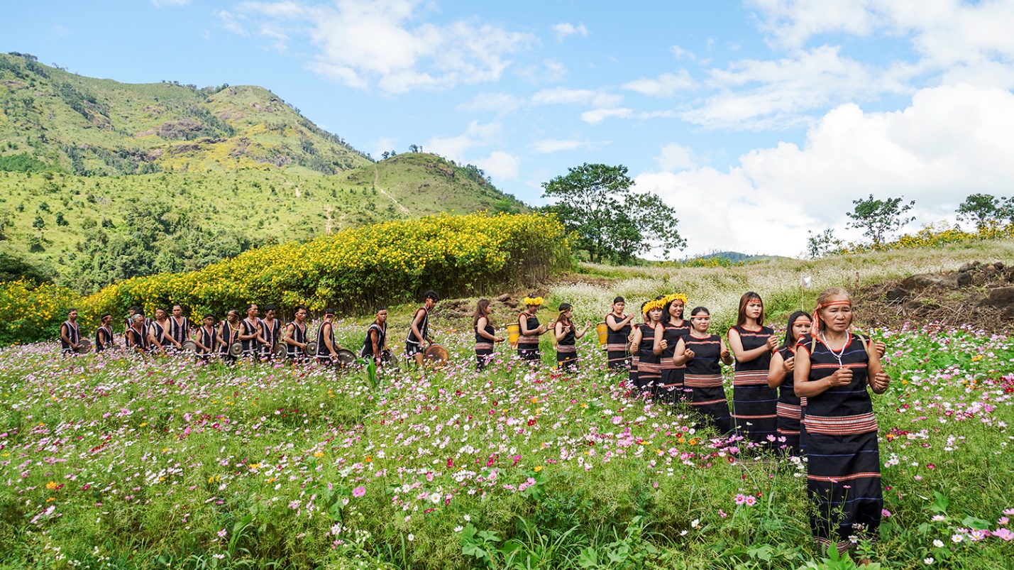 di xem hoa da quy no ruc ro tren nui lua chu dang ya - 2