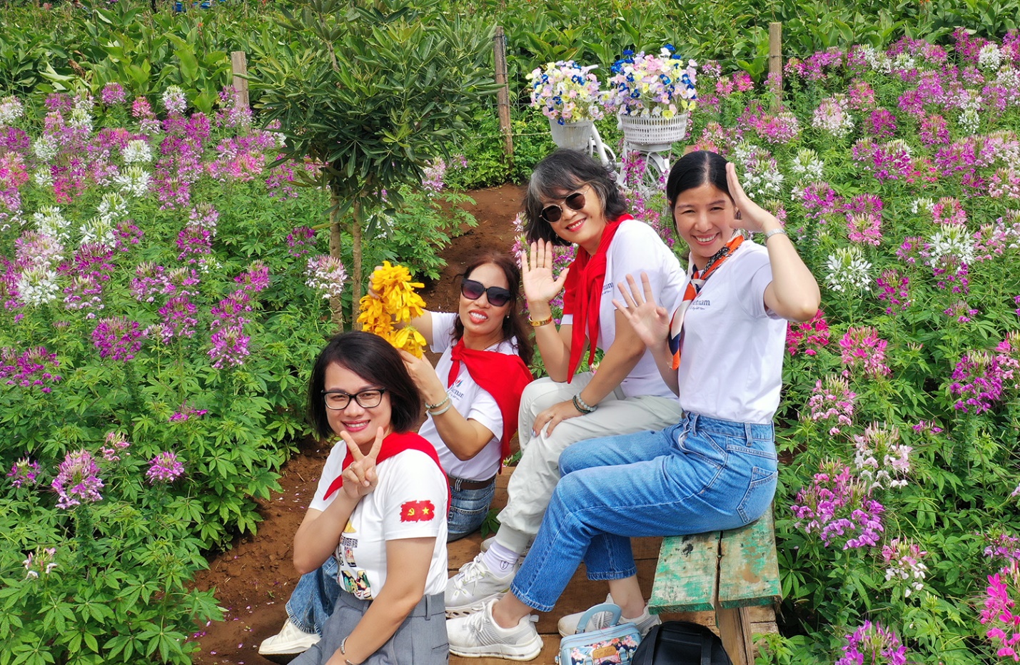 di xem hoa da quy no ruc ro tren nui lua chu dang ya - 10