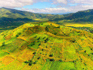 Đi xem hoa dã quỳ nở rực rỡ trên núi lửa Chư Đang Ya