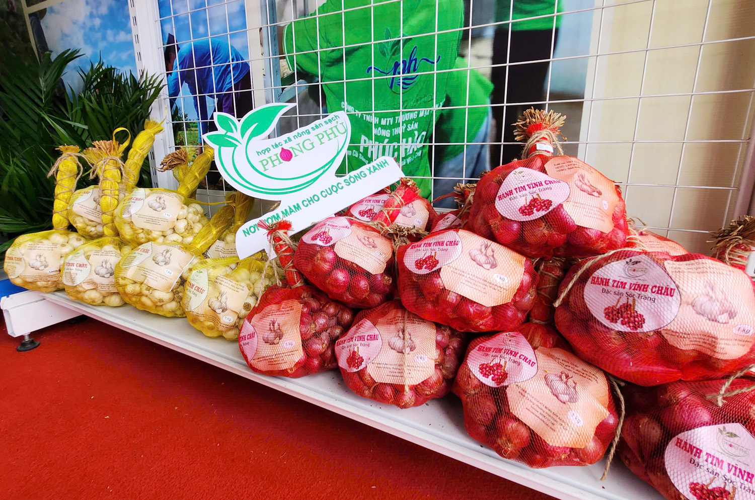 Doanh nghiệp du lịch mang gạo ST25 hữu cơ đến Lễ hội Oóc Om Bóc - 12