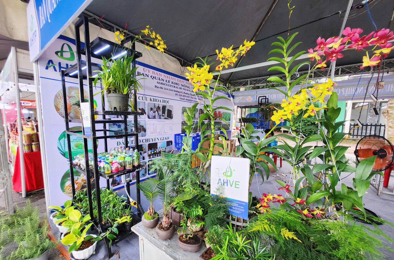 Doanh nghiệp du lịch mang gạo ST25 hữu cơ đến Lễ hội Oóc Om Bóc - 14