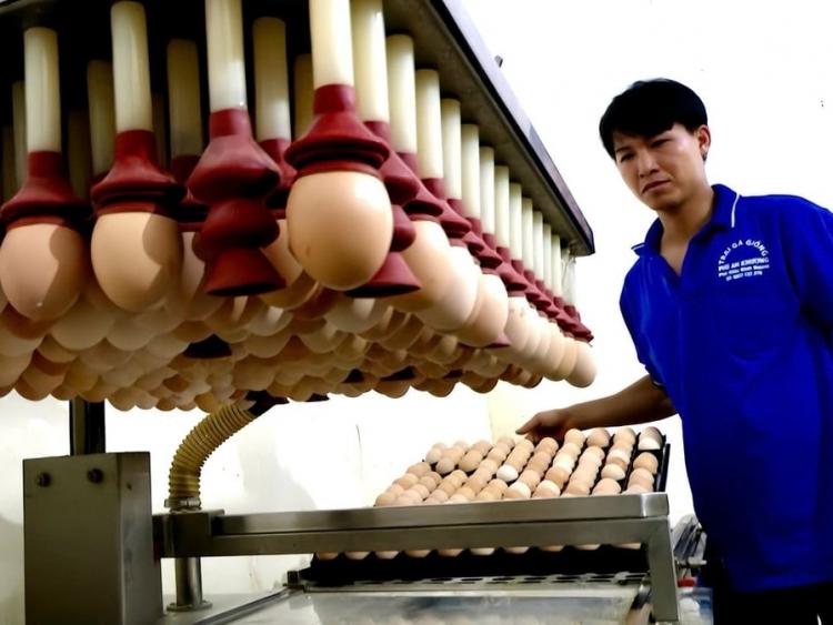 TP.HCM: Nhân rộng mô hình trang trại quy mô lớn là giải pháp phát triển ngành nghề nông thôn