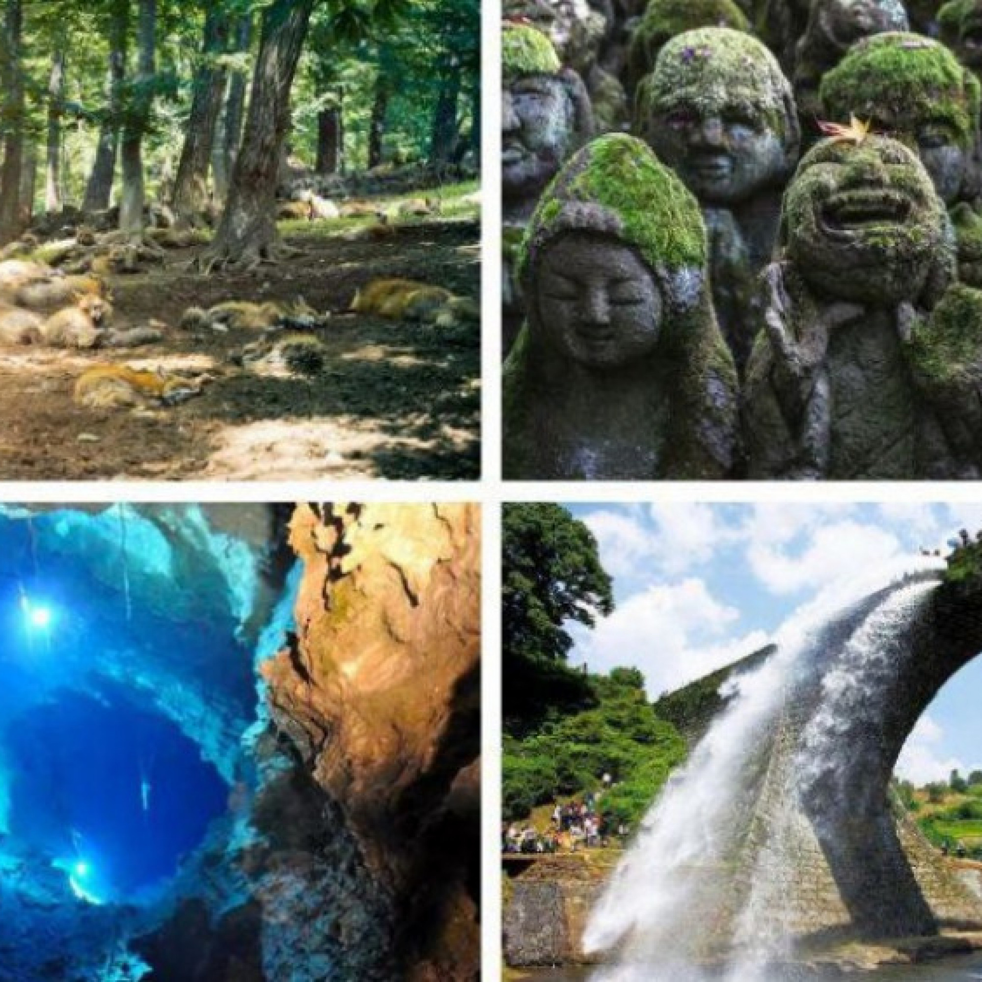  - 9 địa điểm tuyệt vời mà bạn chưa từng biết đến ở Nhật Bản