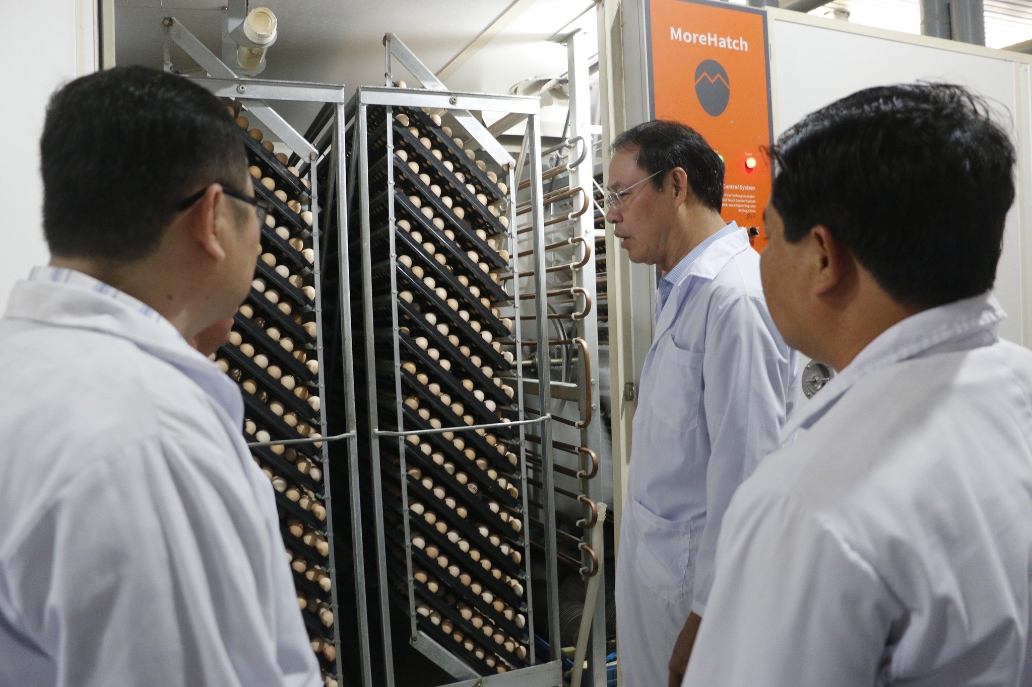 TP.HCM: Nhân rộng mô hình trang trại quy mô lớn là giải pháp phát triển ngành nghề nông thôn - 1