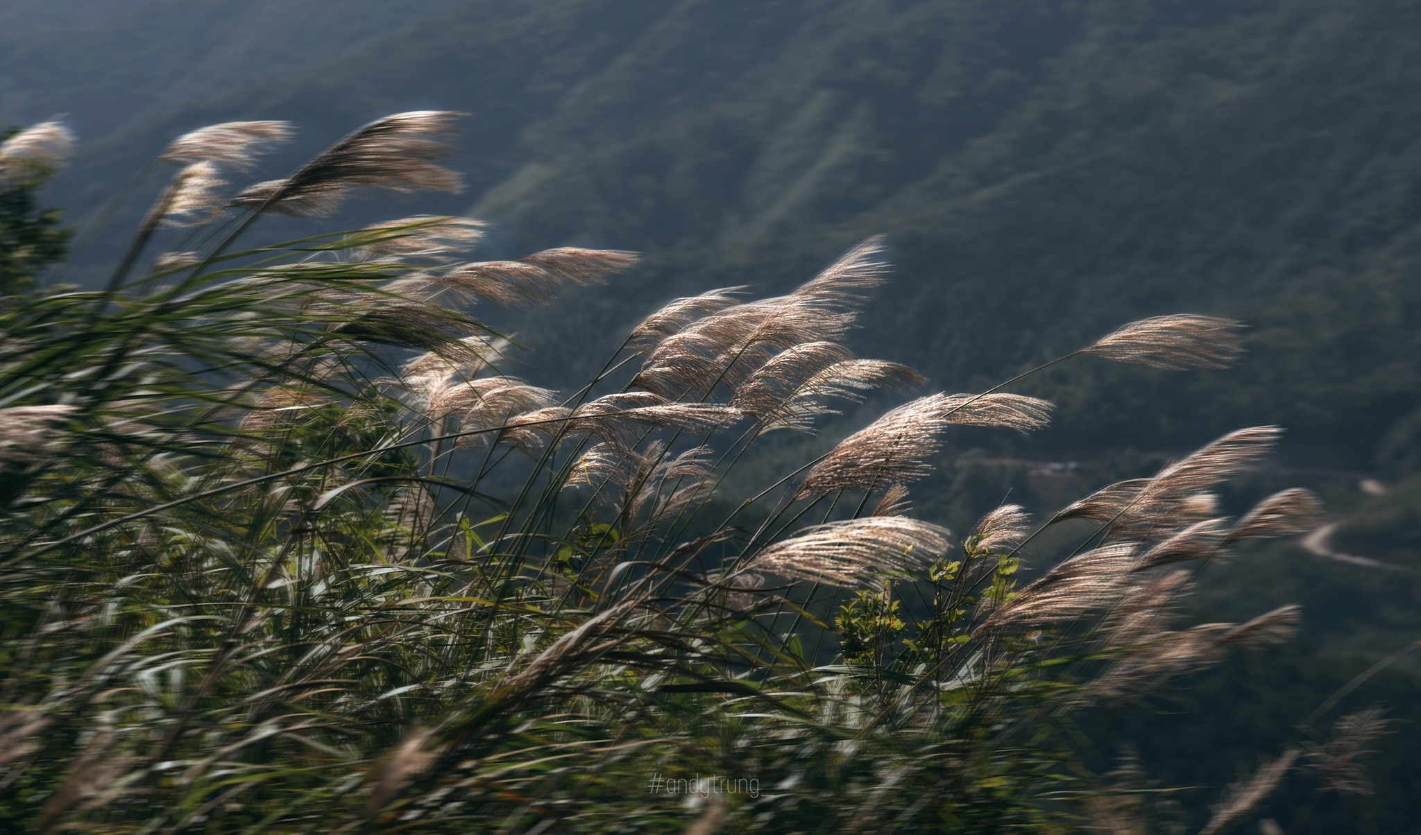 Đến Bình Liêu, lắng nghe những ngọn đồi 'tuyết trắng' vẫy gọi - 3