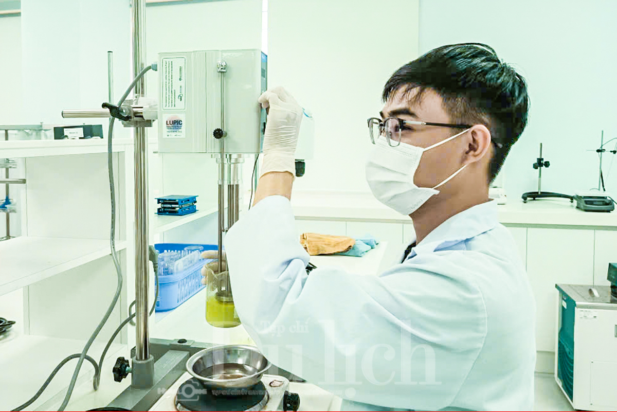 Khi ba nhà cùng bắt tay kiến tạo hệ sinh thái nhân lực xanh bền vững - 1