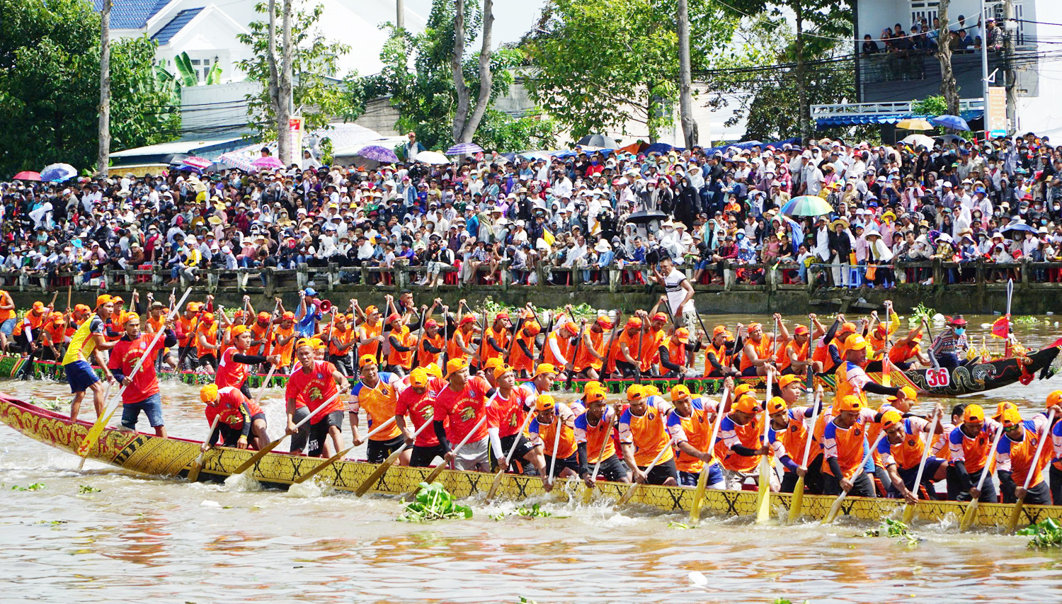 Hàng trăm nghìn du khách xem đua ghe ngo ở Cần Thơ - 11