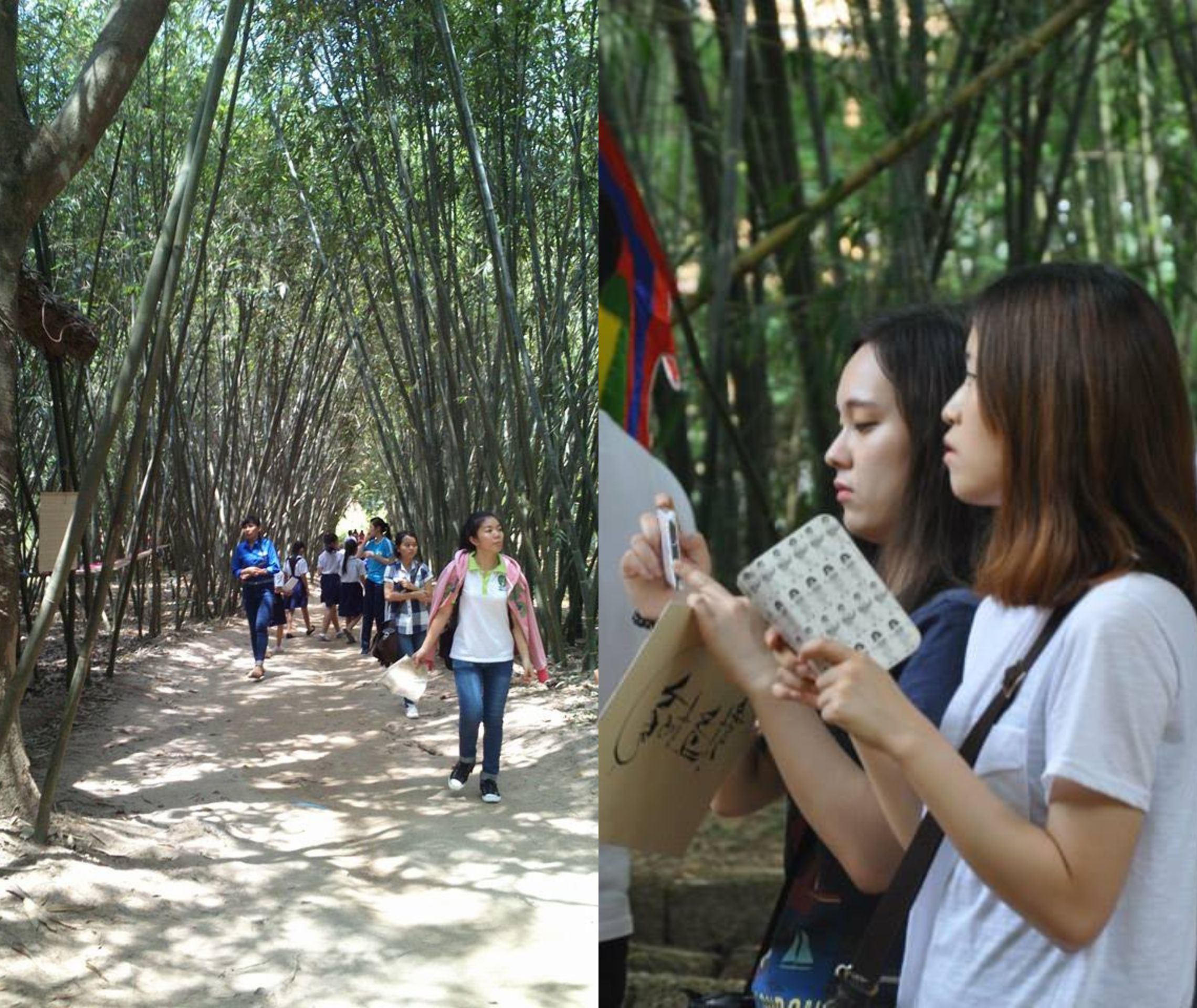 'Chạm' vào làng tre Phú An – Bảo tàng 'sống' của tre Việt - 4