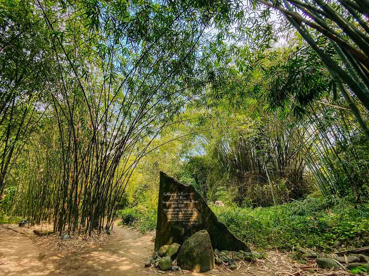 'Chạm' vào làng tre Phú An – Bảo tàng 'sống' của tre Việt - 6