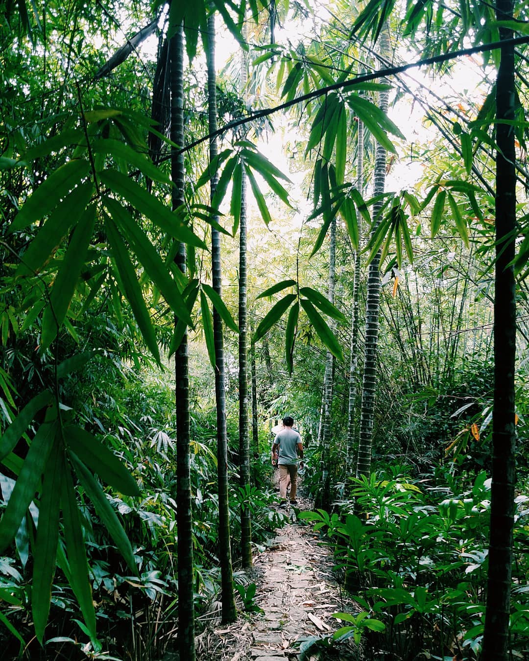 'Chạm' vào làng tre Phú An – Bảo tàng 'sống' của tre Việt - 7