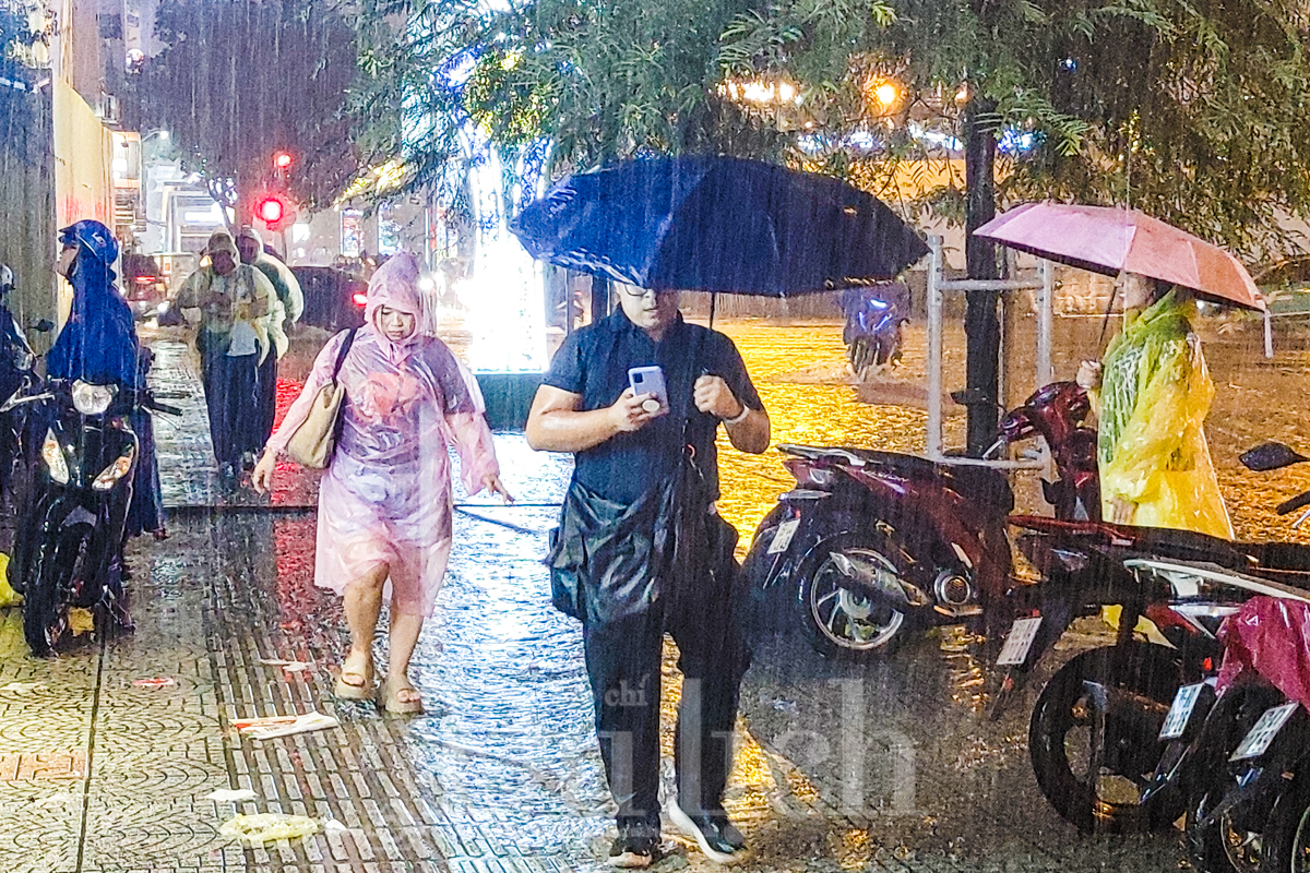 Cơn mưa giông tháng 11 vang vọng về bản tình ca cũ - 12