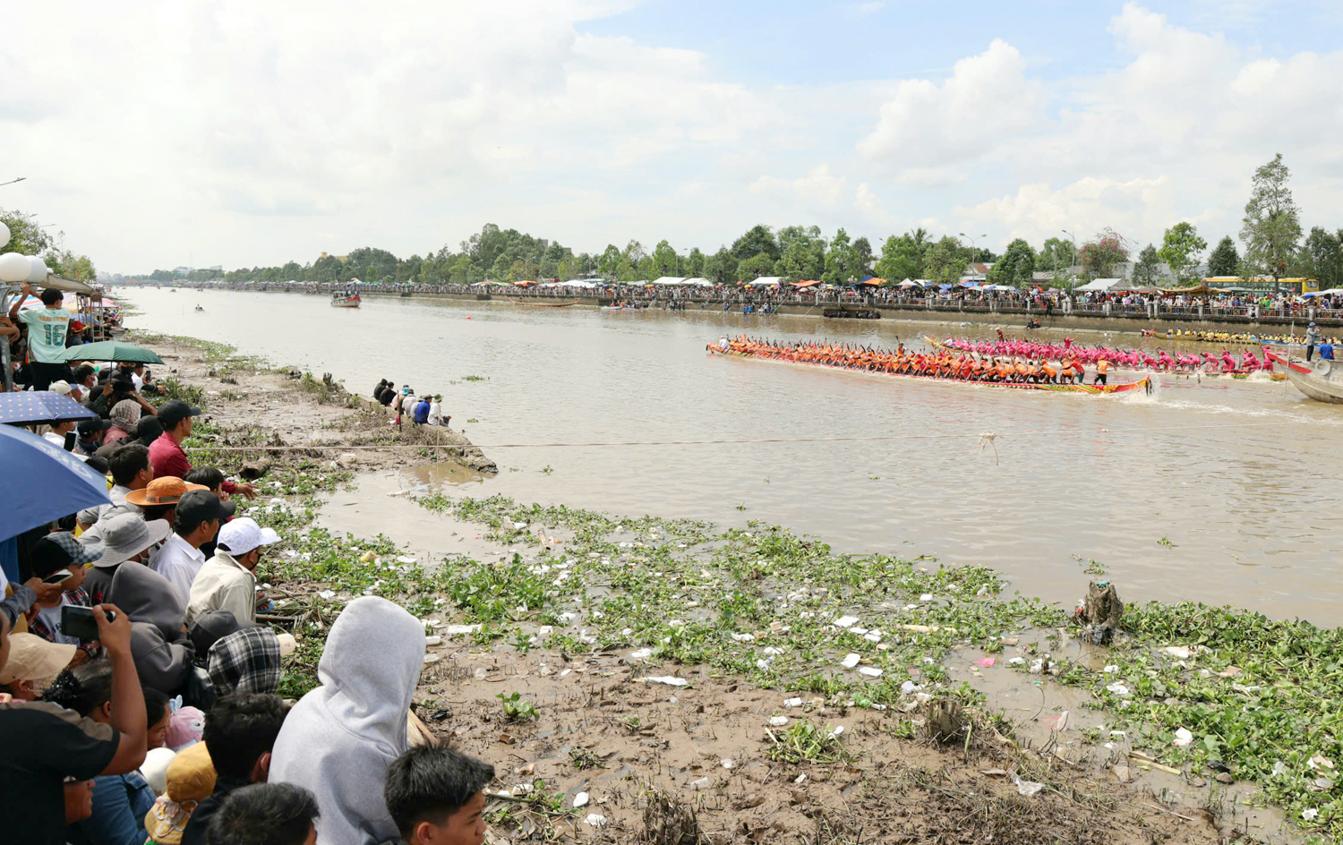 Người dân trèo cây, lội sông xem đua ghe Ngo - 3
