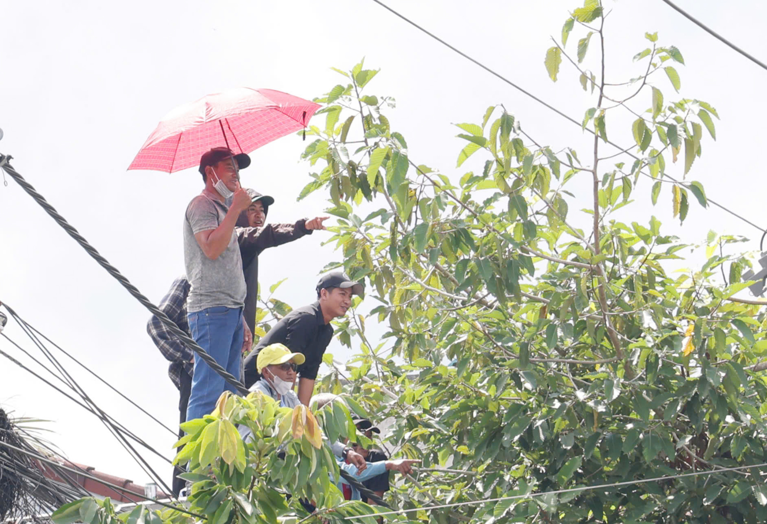 Người dân trèo cây, lội sông xem đua ghe Ngo - 7