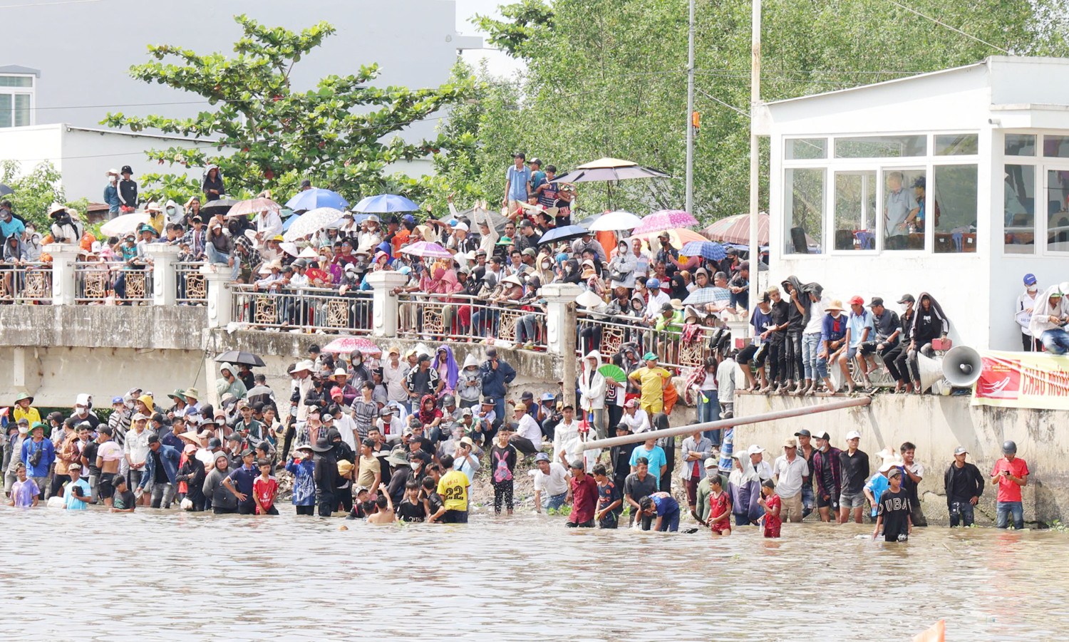 Người dân trèo cây, lội sông xem đua ghe Ngo - 9