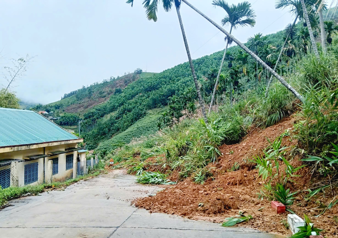 nui lo gay hu hong nhieu truong hoc o vung cao quang ngai - 8