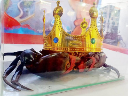 Chuyển động - Cua Cà Mau: Hương rừng – Vị biển