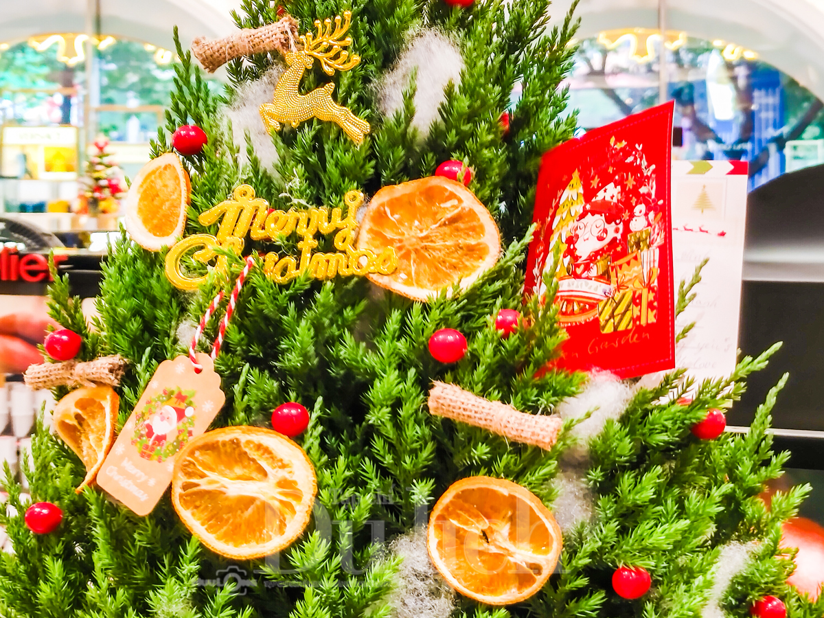 Sài Gòn sớm khoác áo Giáng sinh, rộn ràng bản hòa ca đón chào năm mới - 10