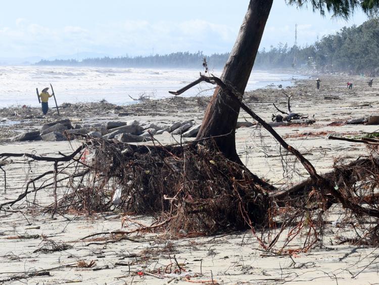 Bãi biển đẹp nhất Quảng Ngãi tan hoang sau bão số 13