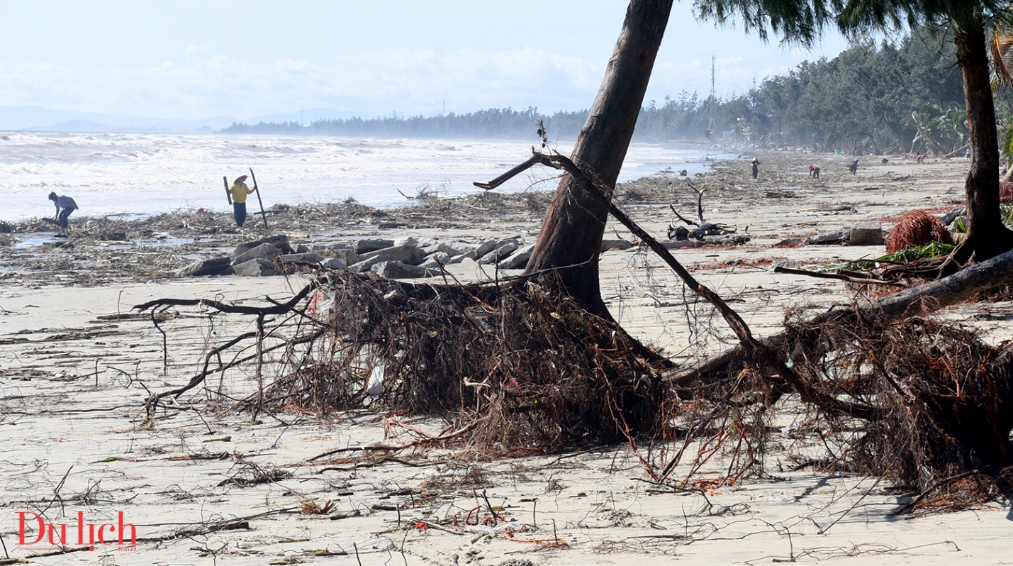 bai bien dep nhat quang ngai tan hoang sau bao so 13 - 5