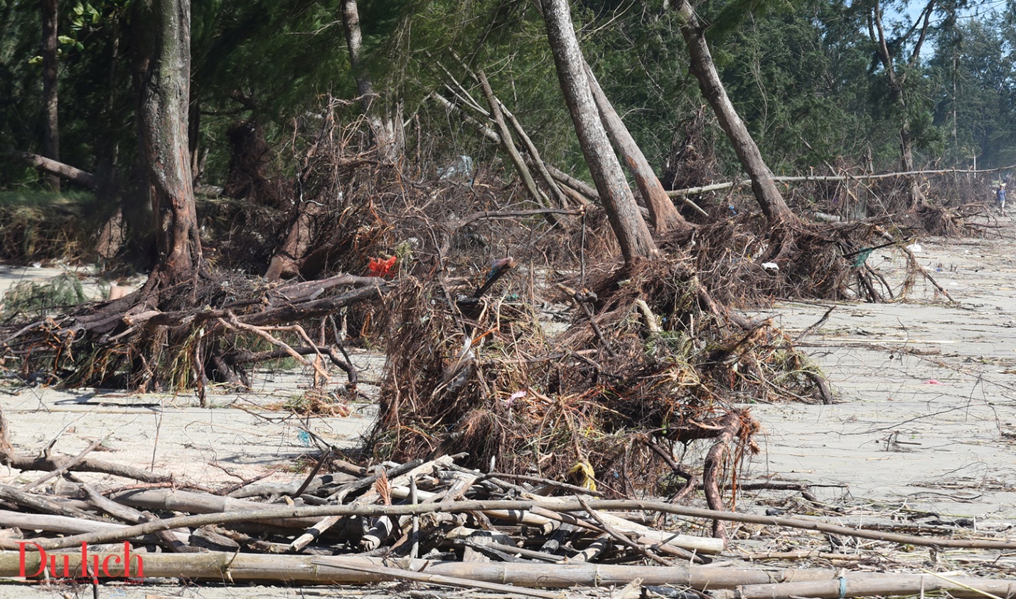 bai bien dep nhat quang ngai tan hoang sau bao so 13 - 7