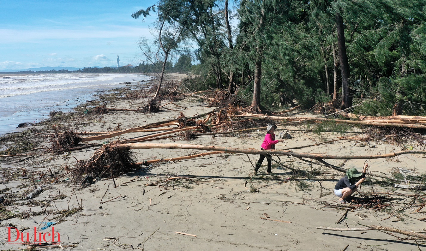 bai bien dep nhat quang ngai tan hoang sau bao so 13 - 11