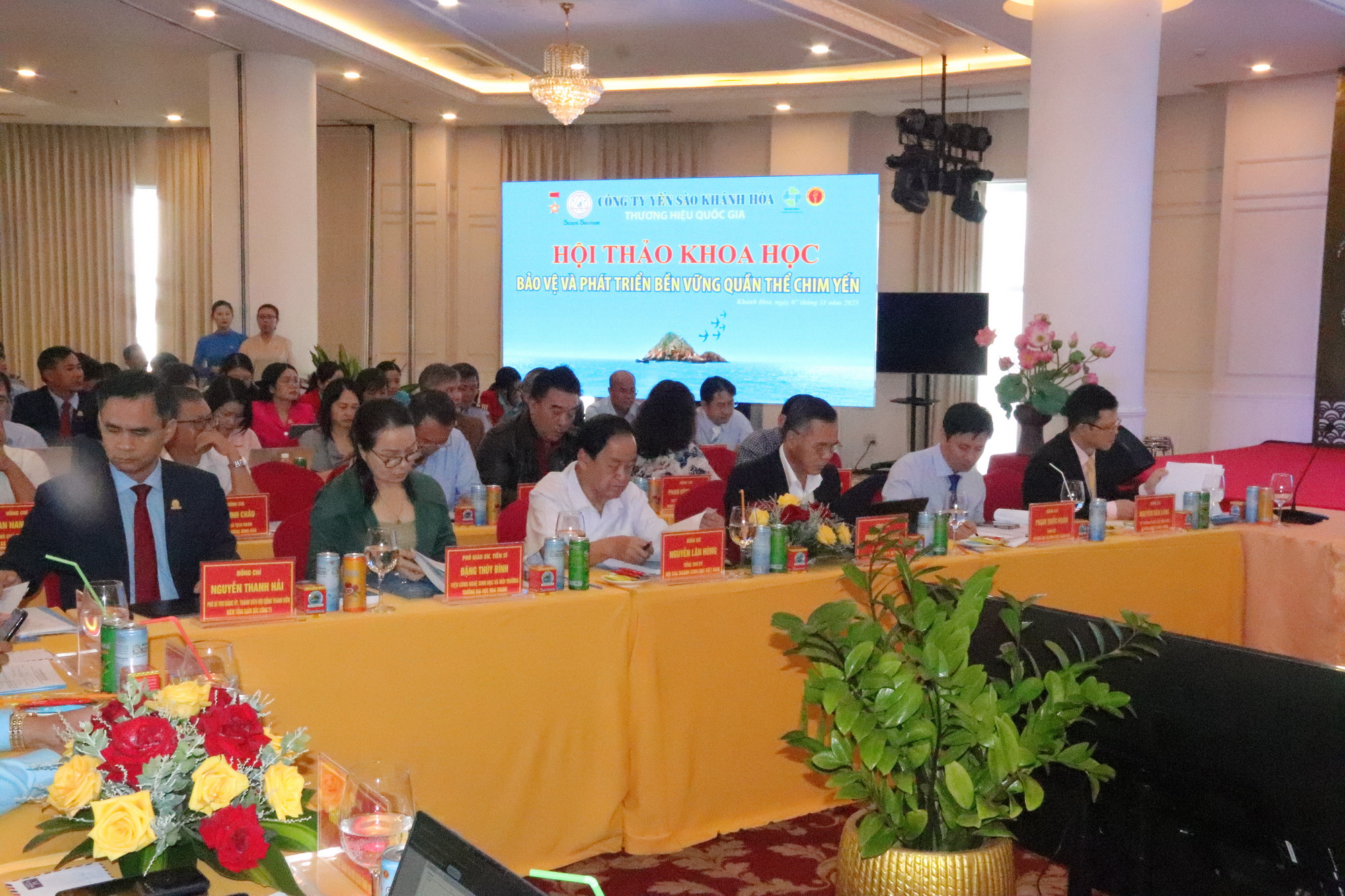 Khánh Hòa tìm giải pháp bảo vệ và phát triển bền vững chim yến - 1