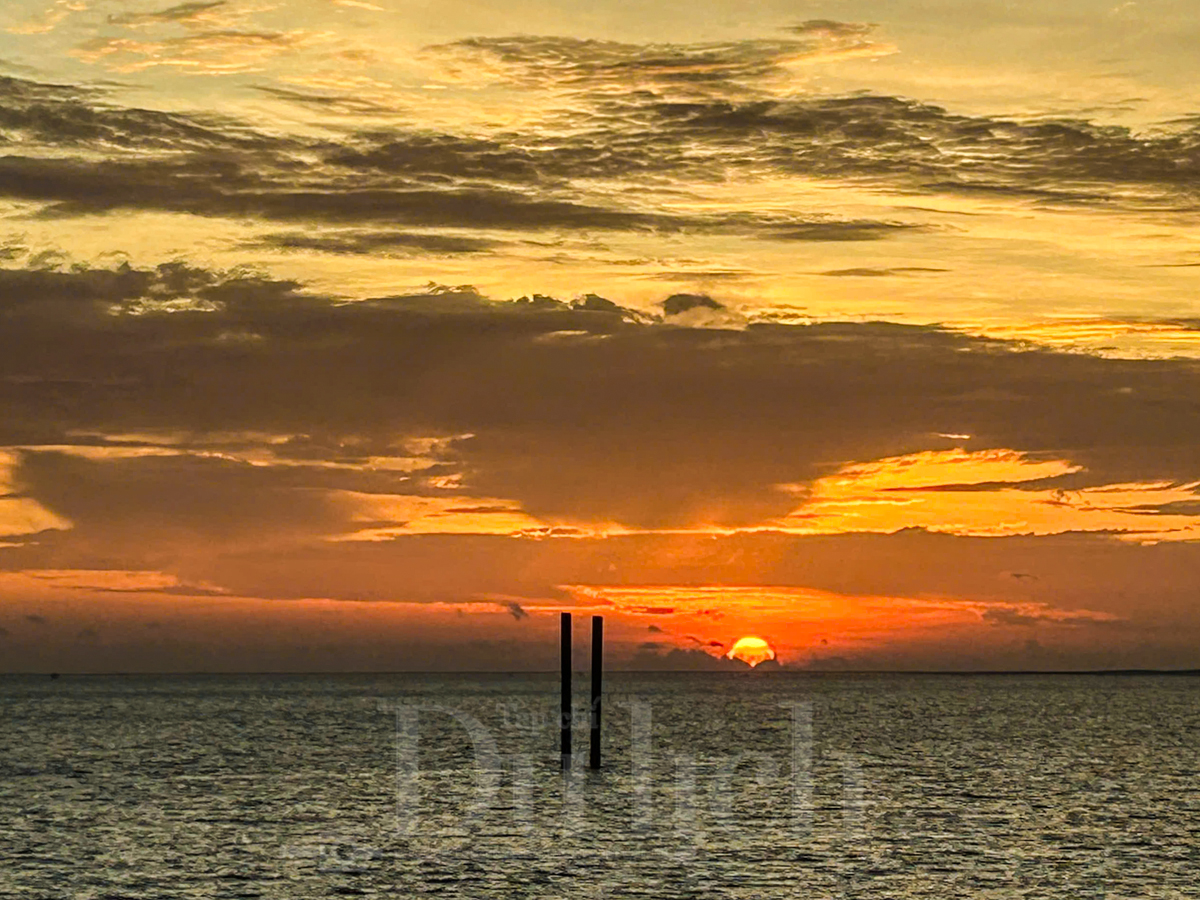 Cù lao Thới Sơn Trải nghiệm mới cùng hành trình du lịch cộng đồng xanh - 10