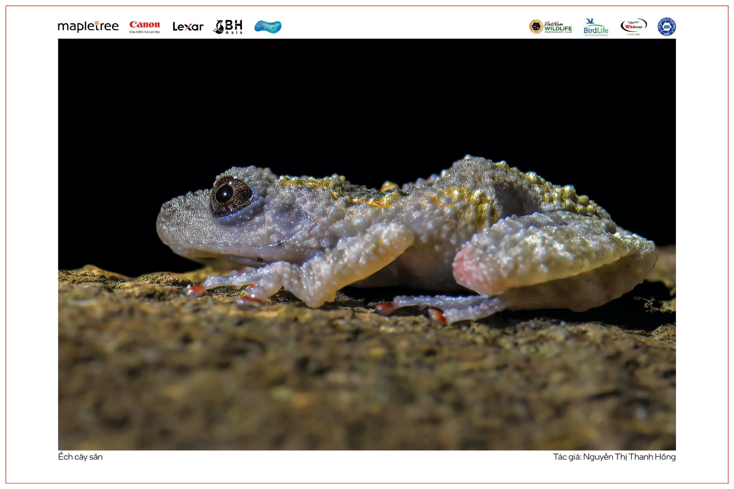 Vũ điệu thiên nhiên - 3