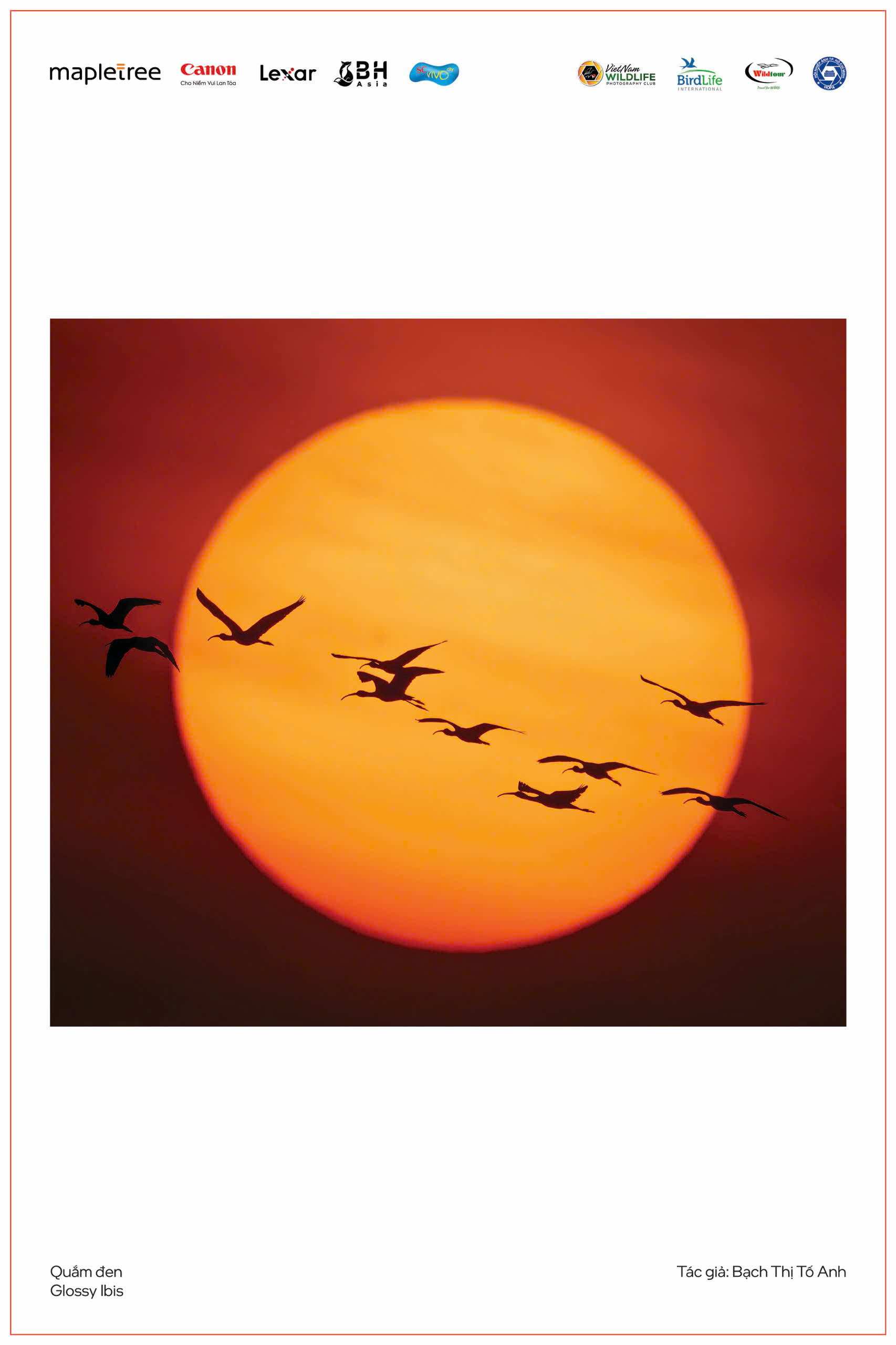 Vũ điệu thiên nhiên - 8