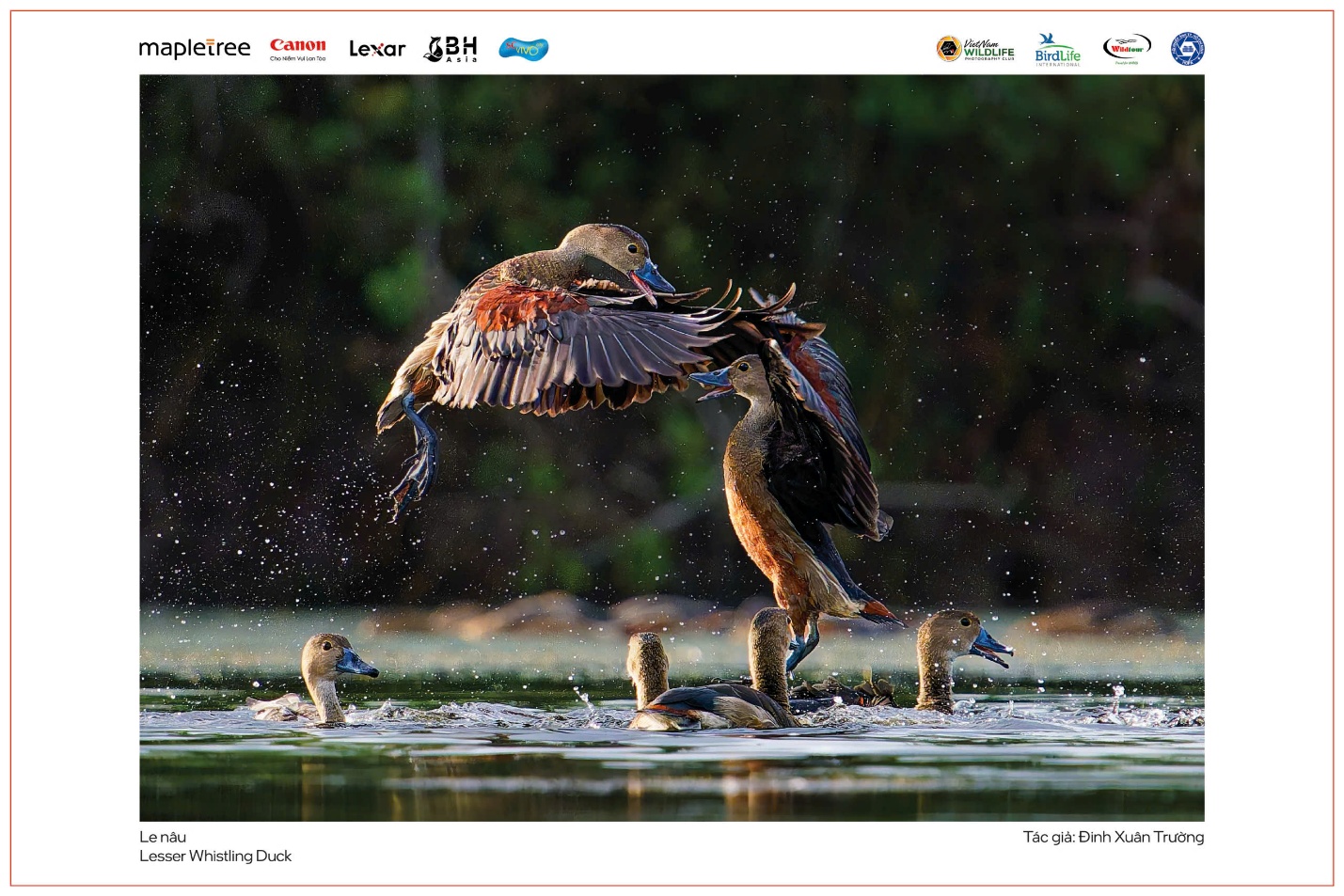 Vũ điệu thiên nhiên - 5