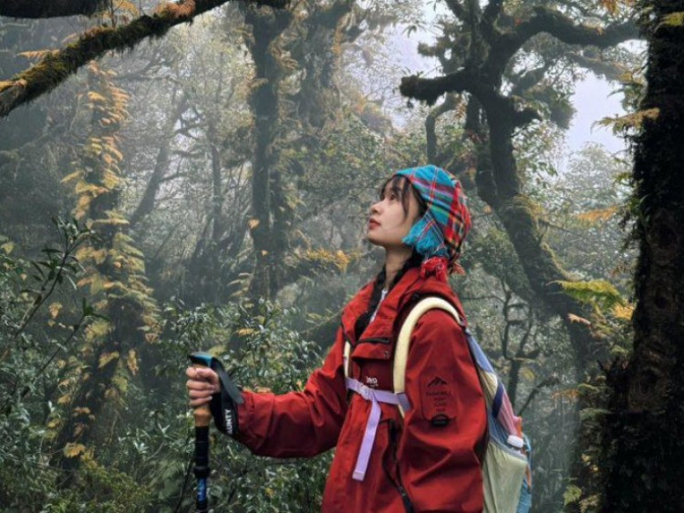 Chinh phục đỉnh Sa Mu 2.756 m giữa mây trời Tây Bắc