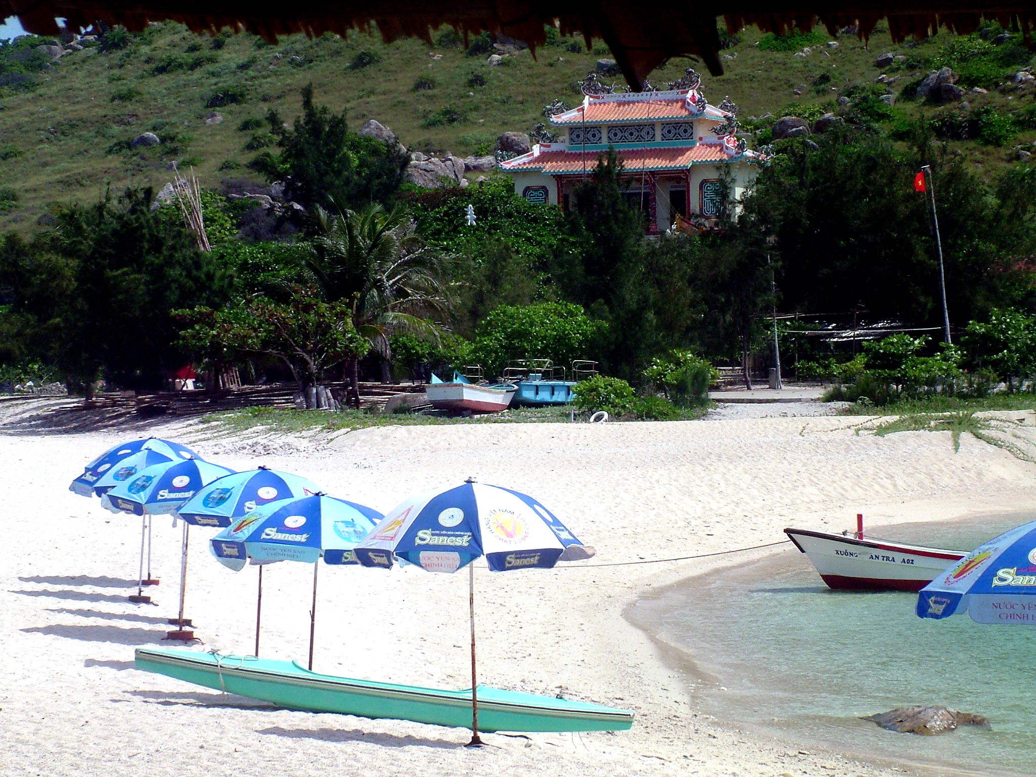 Mùa yến gọi bầy - 3