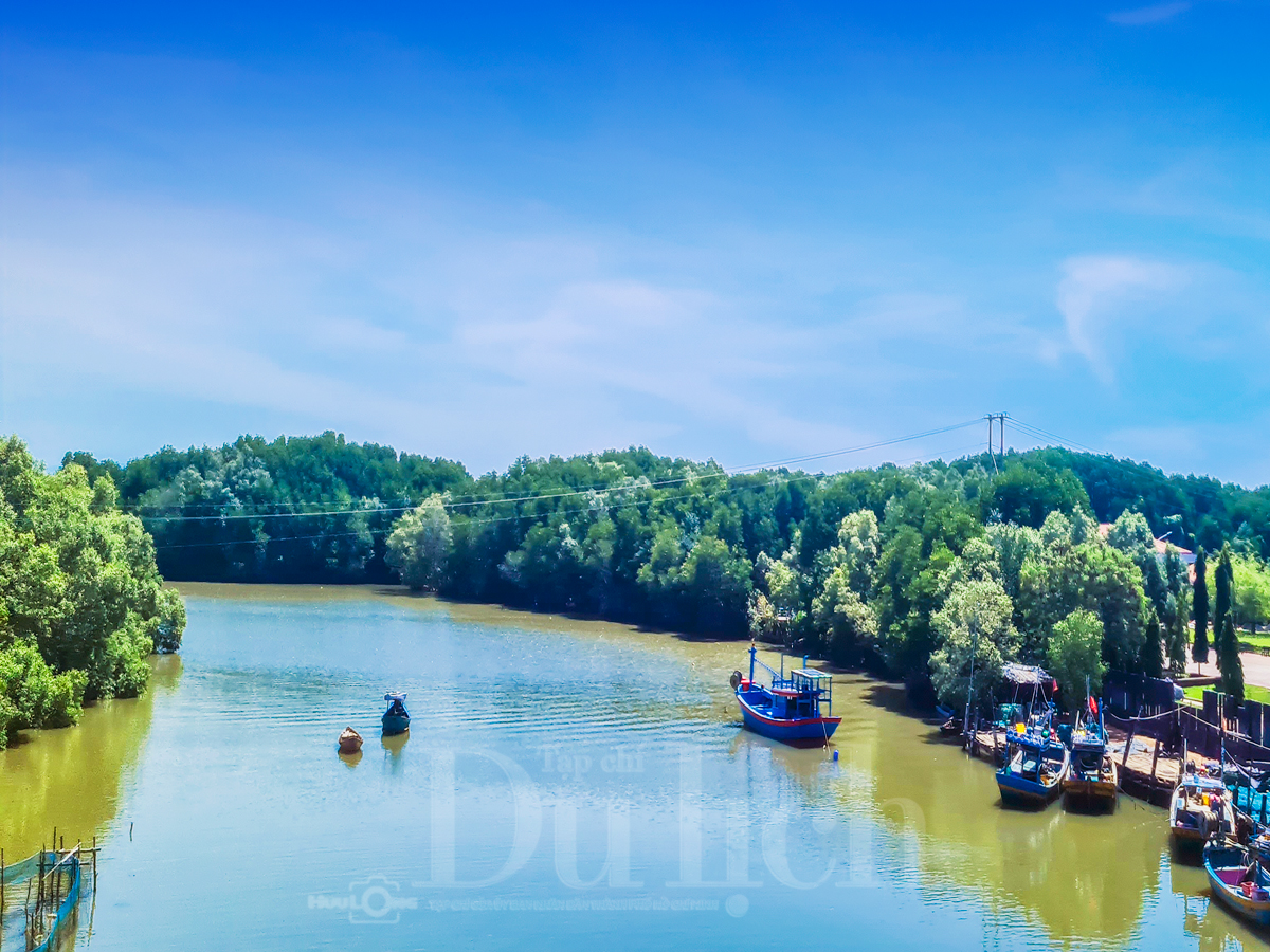 Hồ Tràm trở thành điểm nhấn xanh đầy sức hút của TP.HCM - 2