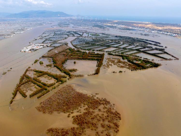 Khu du lịch sinh thái Cồn Chim tơi tả sau bão 13