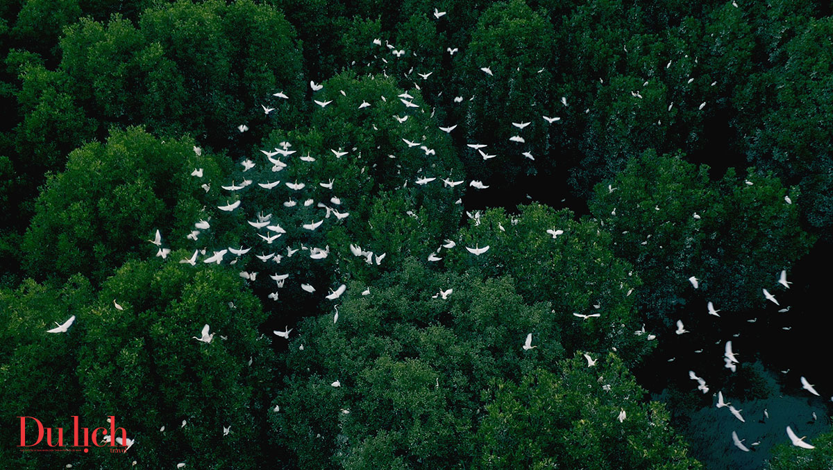 khu du lich sinh thai con chim toi ta sau bao 13 - 5