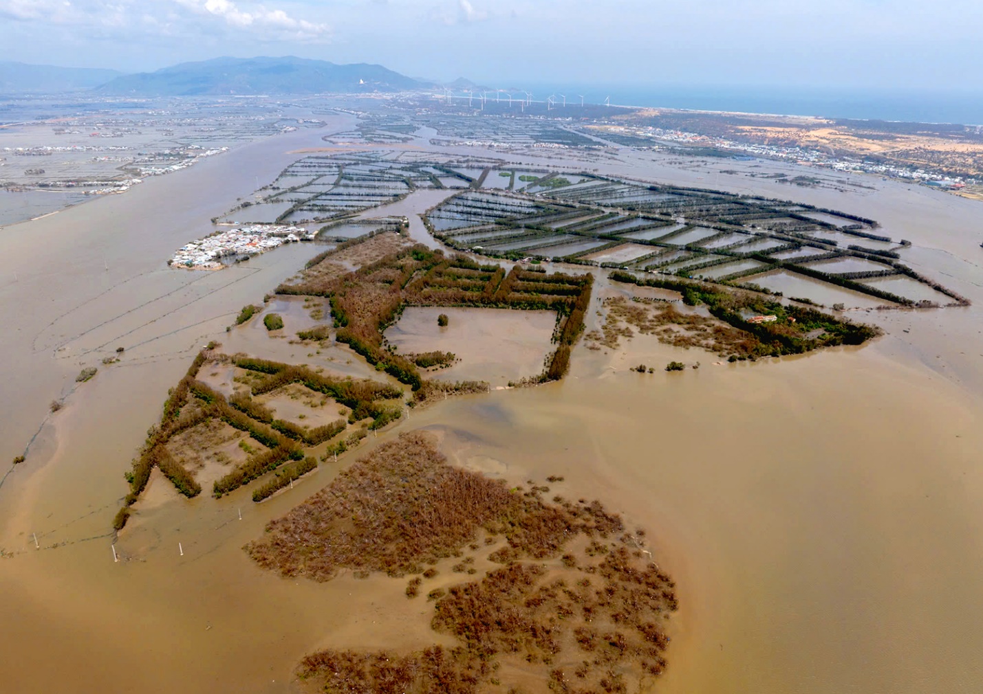 khu du lich sinh thai con chim toi ta sau bao 13 - 7