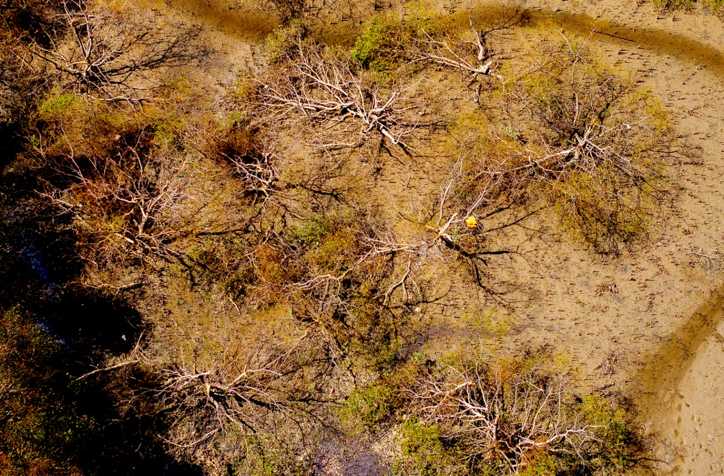 khu du lich sinh thai con chim toi ta sau bao 13 - 6