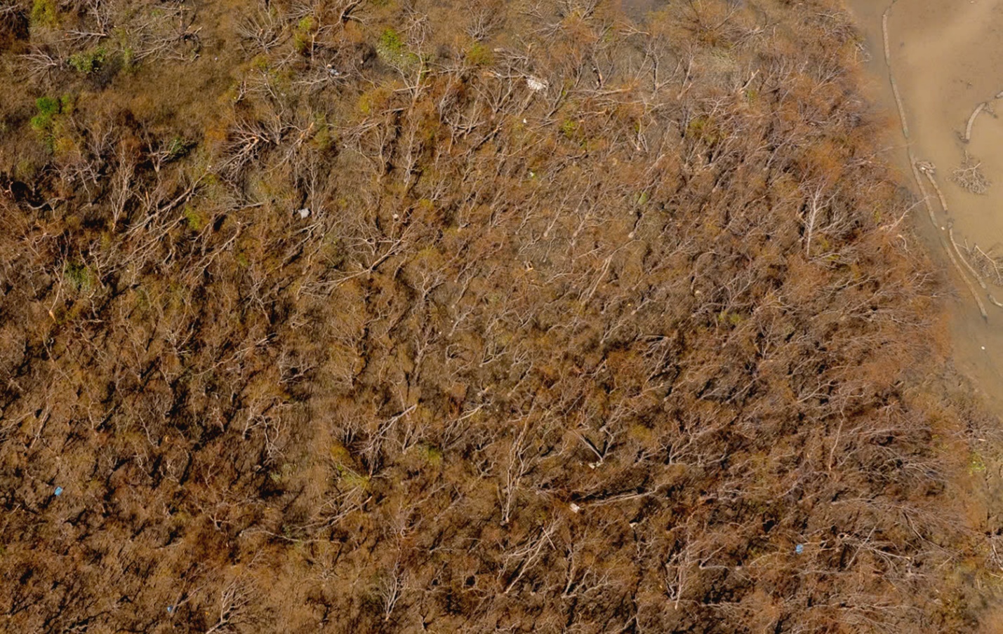 khu du lich sinh thai con chim toi ta sau bao 13 - 8