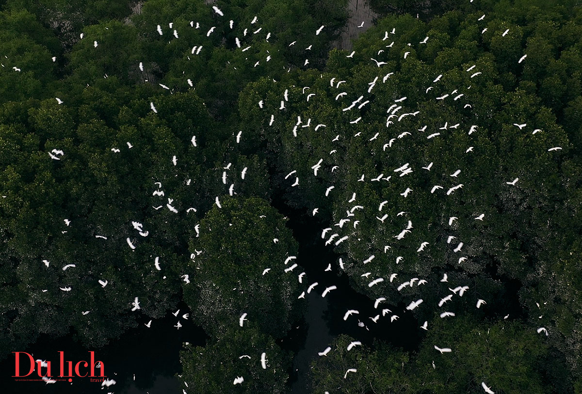 khu du lich sinh thai con chim toi ta sau bao 13 - 4