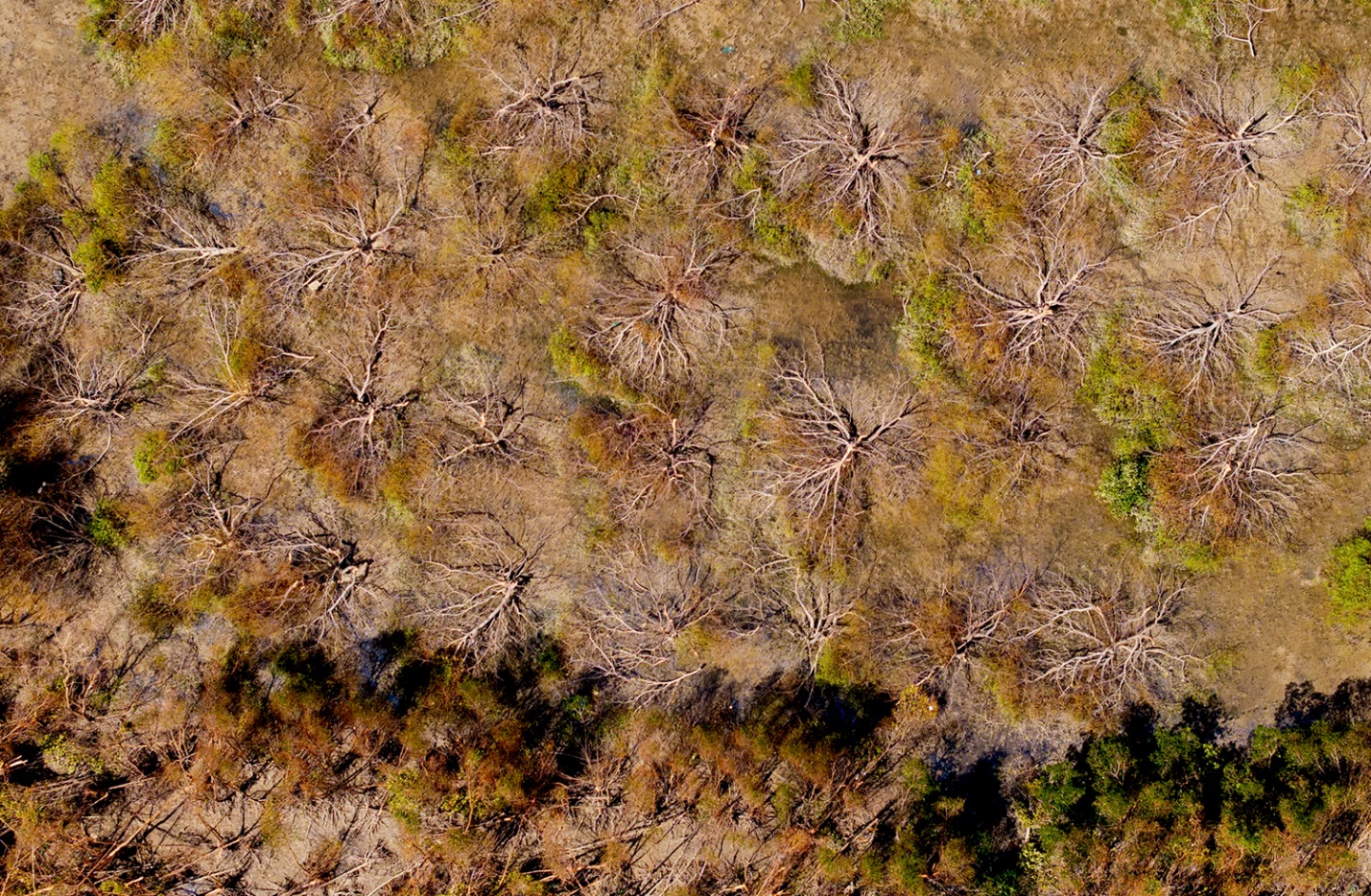 khu du lich sinh thai con chim toi ta sau bao 13 - 10