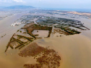 Khu du lịch sinh thái Cồn Chim tơi tả sau bão 13