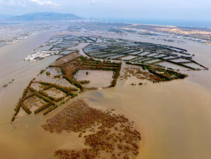  - Khu du lịch sinh thái Cồn Chim tơi tả sau bão 13