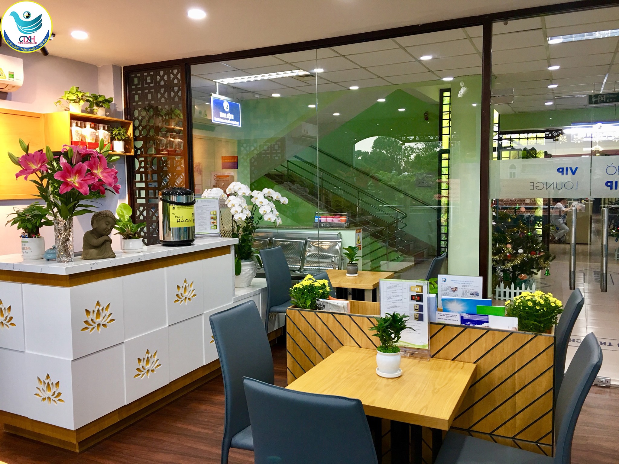 TP.HCM: Du lịch y tế y học cổ truyền là 'mũi nhọn' phát triển mới - 2