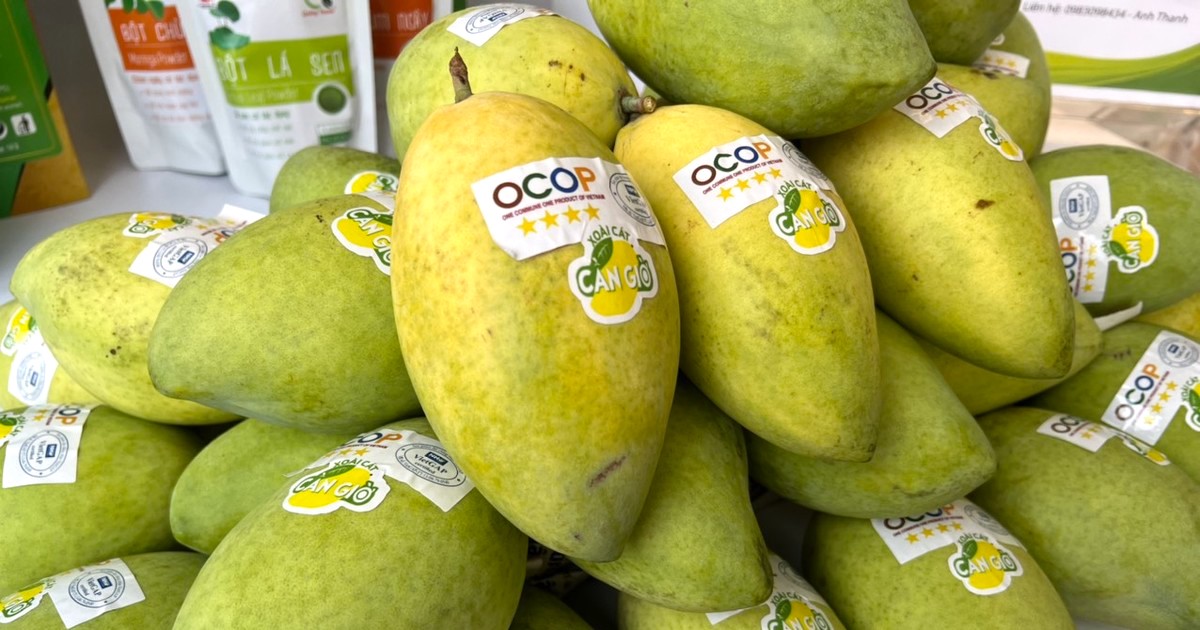 TP.HCM: Đề xuất hỗ trợ chi phí chứng nhận OCOP, VietGAP cho nông dân - 3