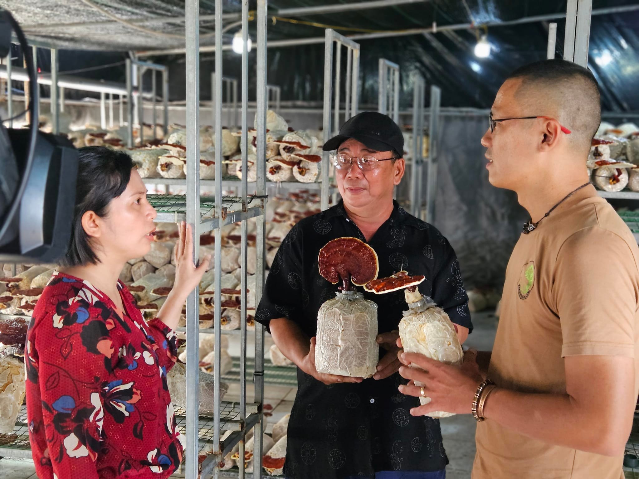 TP.HCM: Nuôi nấm mối đen trong container, giải pháp cho nông nghiệp đô thị - 2