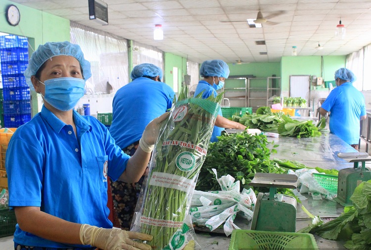 TP.HCM: Phát triển làng nghề nông thôn gắn OCOP và hợp tác xã - 3