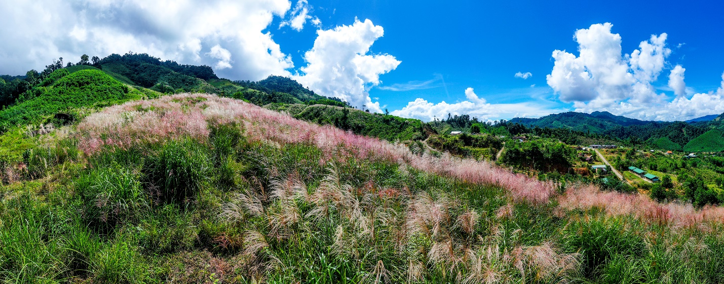 ve dep tho mong vung long ho dakdrinh tren dinh truong son dong - 6